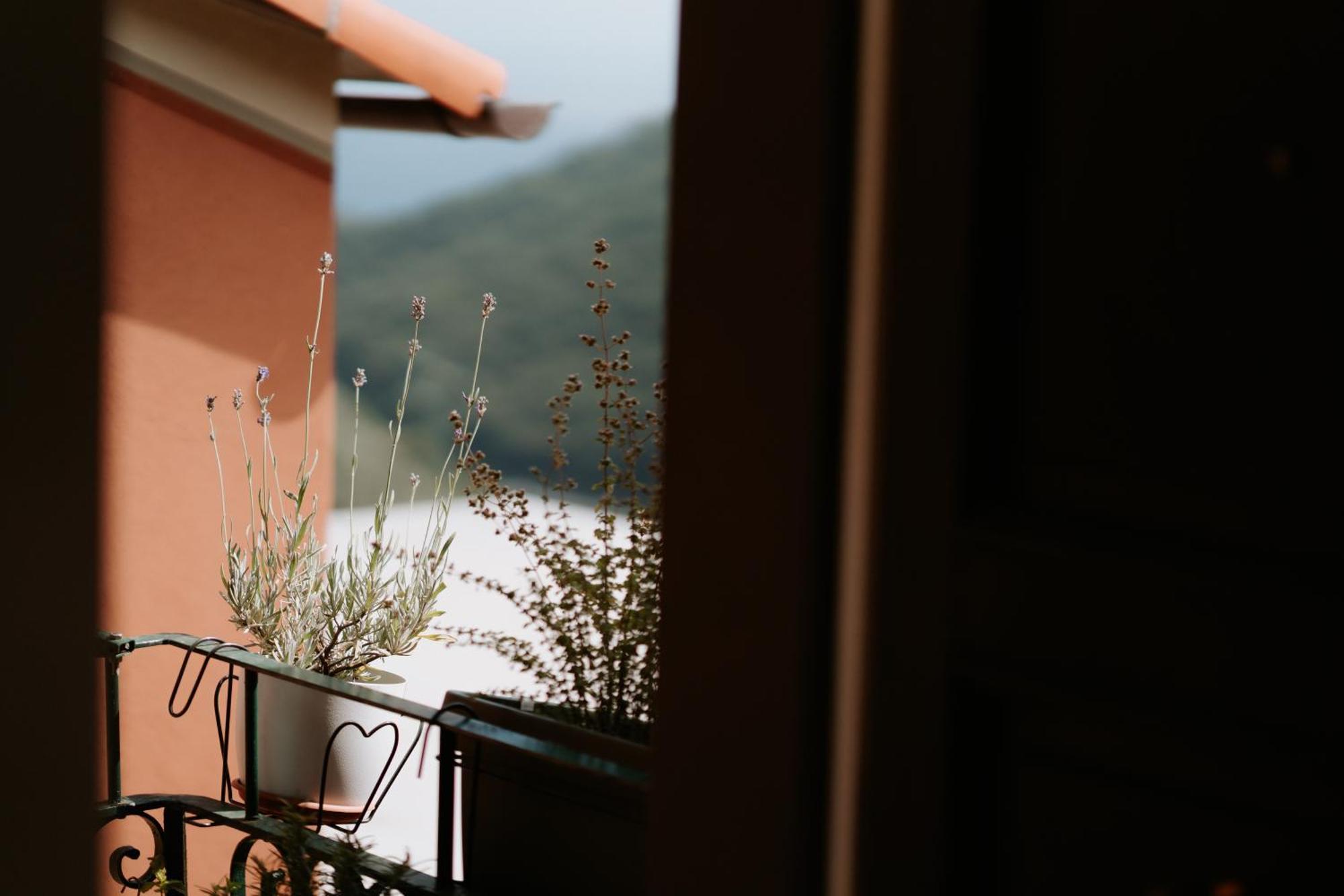 Il Castagno Holiday Home Teriasca Esterno foto